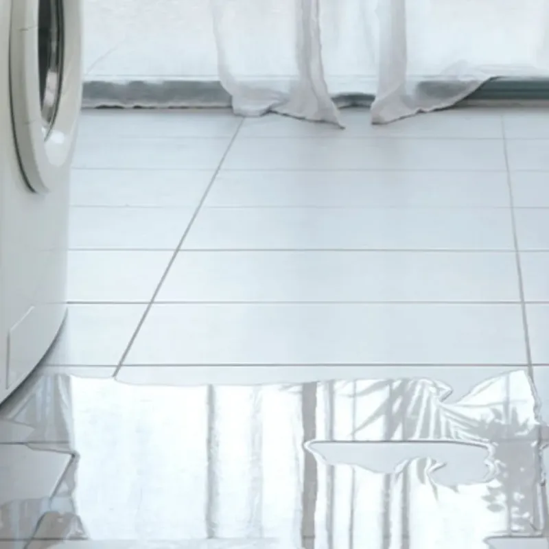 Appliance Leak Cleanup in Linden, AL
