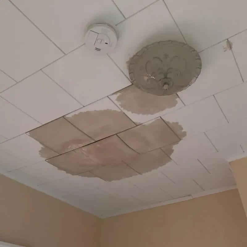 Ceiling Water Damage Repair in Linden, AL
