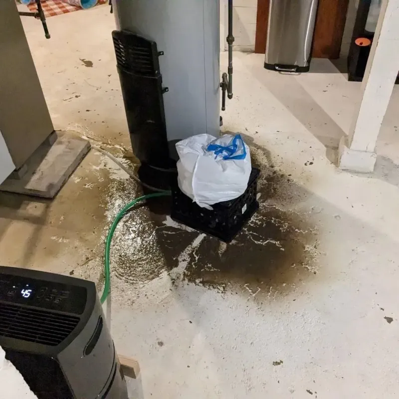 Sewage Backup Cleanup Service in Linden, AL